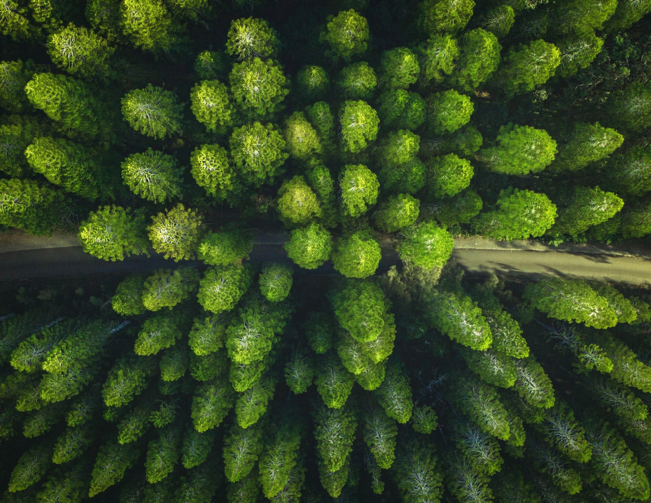 IP trends for 2022 Cleantech in the life sciences and chemistry